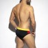 FLAGS SWIM BRIEF