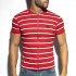 STRIPES POLO SHIRT
