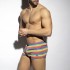 MULTI STRIPES SWIM SHORTS