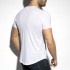 DEEP V-NECK T-SHIRT