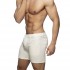 SVELTE SHORTS