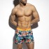 CASCARA SWIM SHORTS