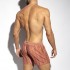 CORFU SHORTS