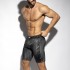 DIPLOMATIC BAND SHORTS