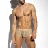 RADIANT GOLD TRUNK