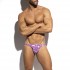 VAN GOGH FLOWERS BIKINI BRIEF