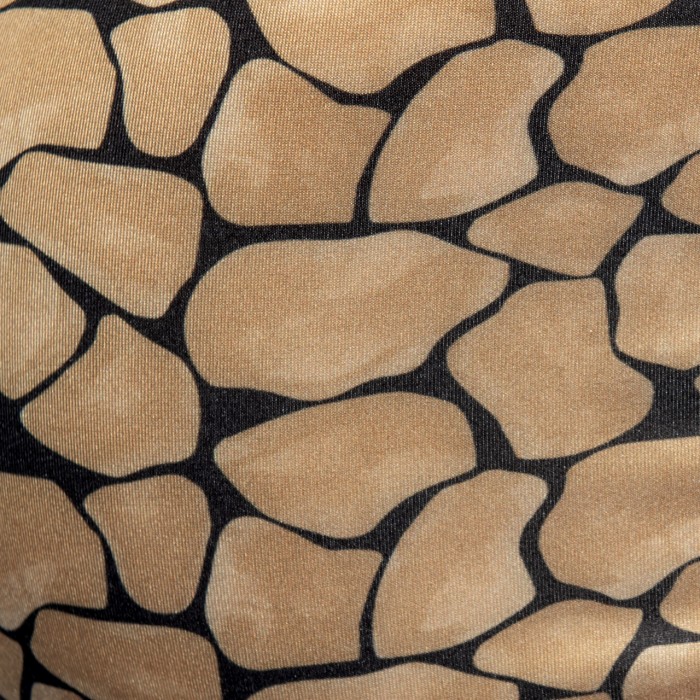 PIEDRA SECA TRUNK