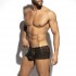 GOLD + GOLD TRUNK