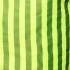 NEON STRIPES BOARDSHORTS