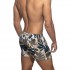 WILLOW SHORTS