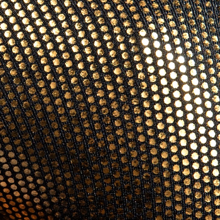 GOLDISH BRIEF
