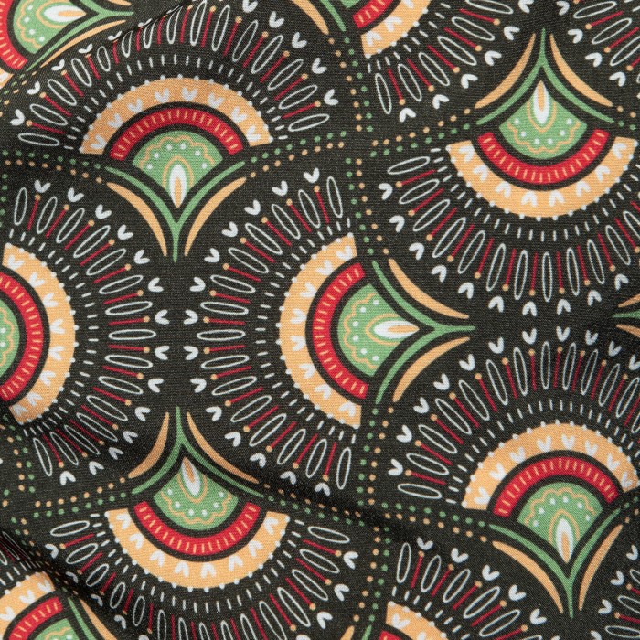 PEACOCK PRINT SWIM SHORTS