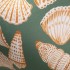 SEASHELL SWIM BIKINI BRIEF