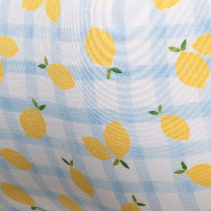 LEMON SWIM MINI BIKINI BRIEF