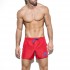 1922 BASIC BOARDSHORT
